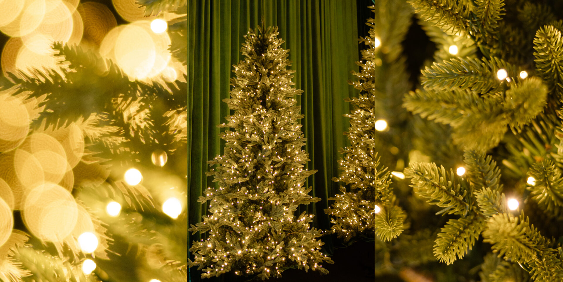 Monet-FW25-Everglow-Slider-1