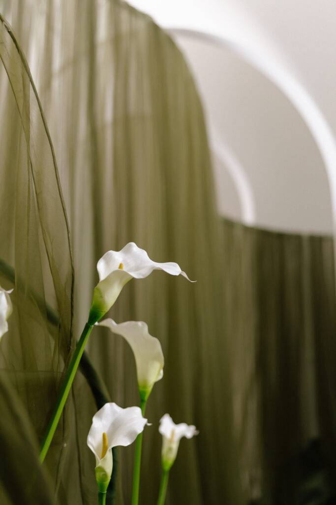 Calla Me Softly 4 Monet SS26 Calla Me Lilly Image 1