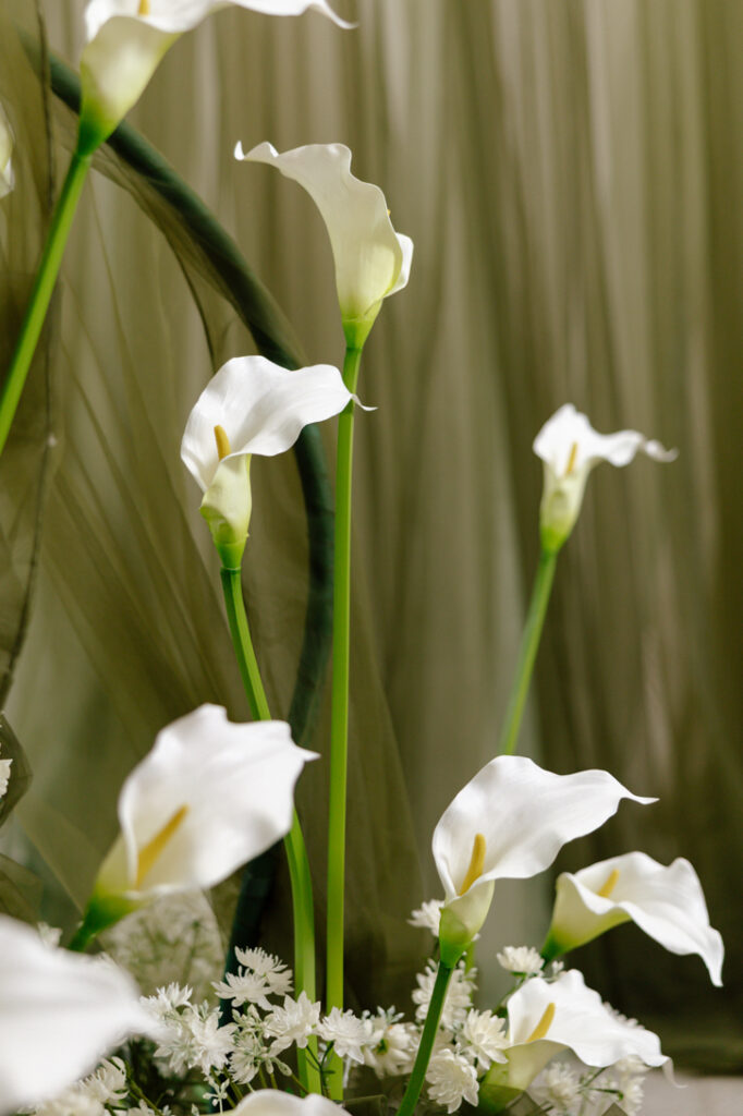 Calla Me Softly 8 Monet SS26 Calla Me Lilly Image 5